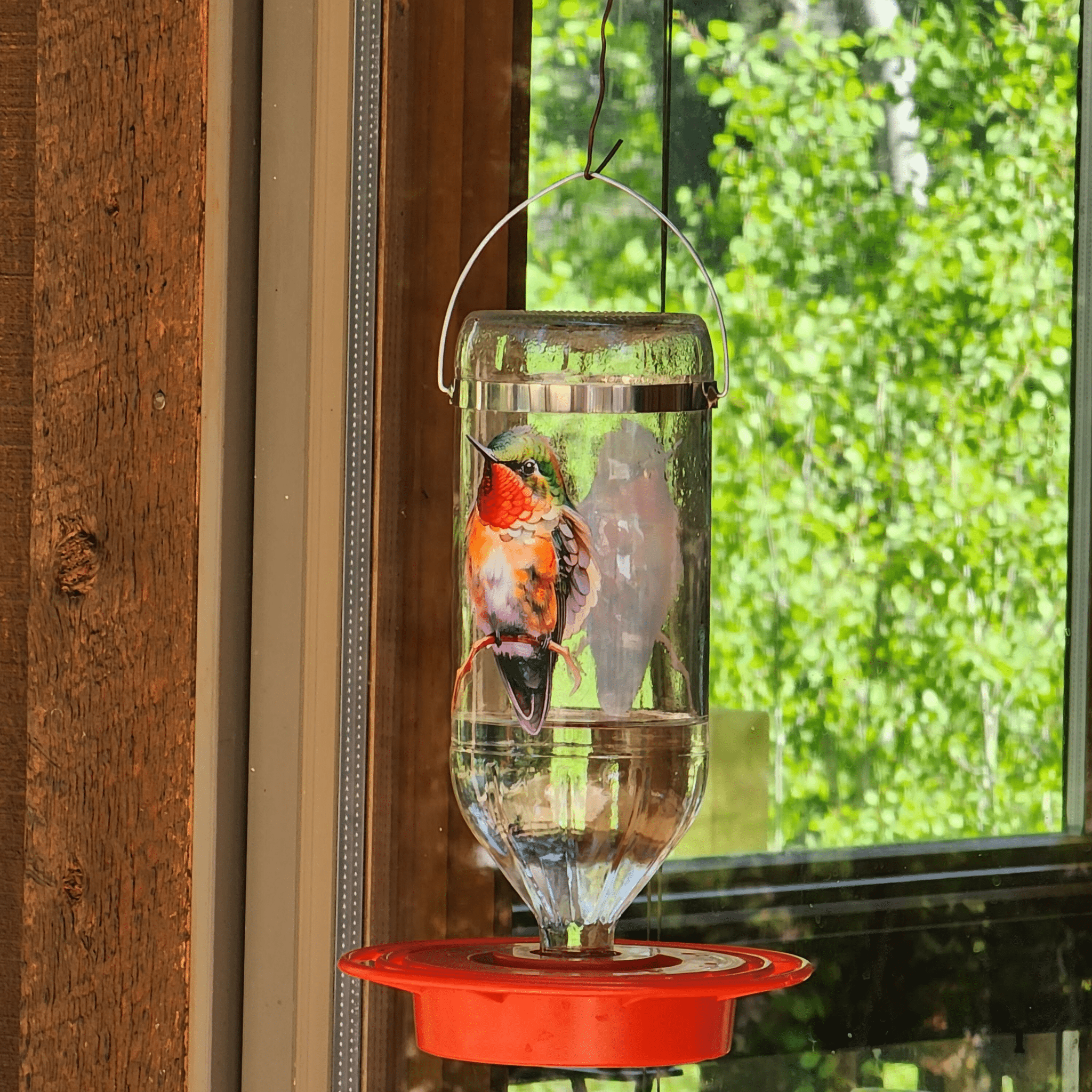 hanging plant hummingbird feeder 32 oz. Hummingbird Feeder Bird on a Branch Design