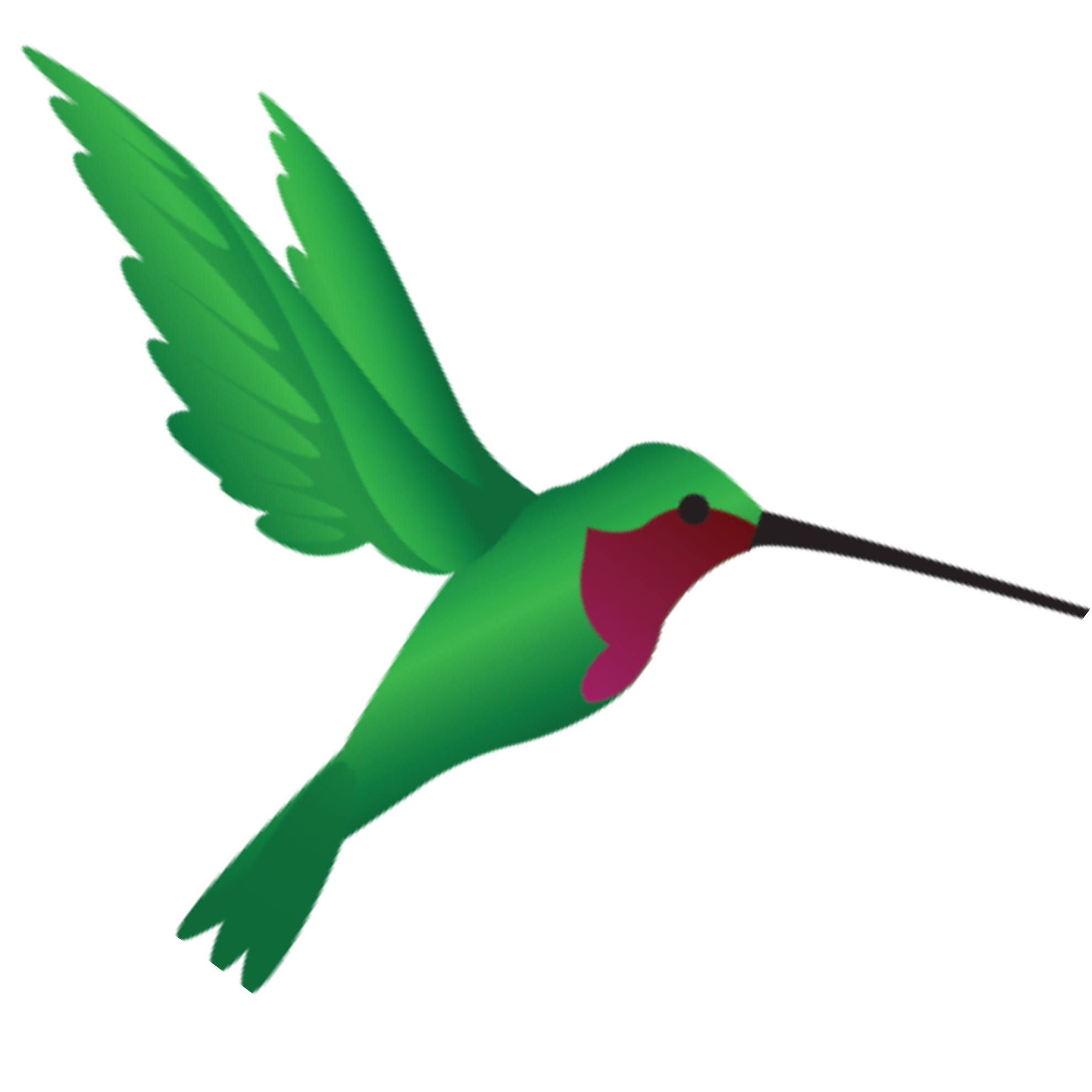 HummViewer: The Revolutionary Wearable Hummingbird Feeder