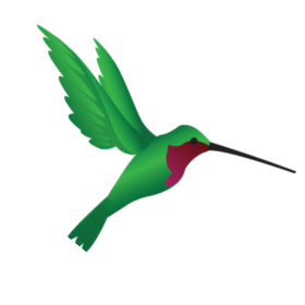 New Merch - HummViewer