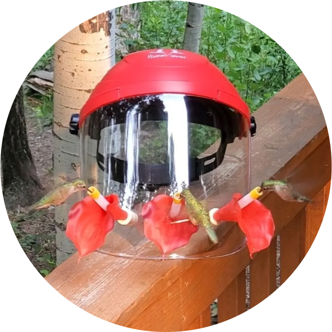 HummViewer: The Revolutionary Wearable Hummingbird Feeder