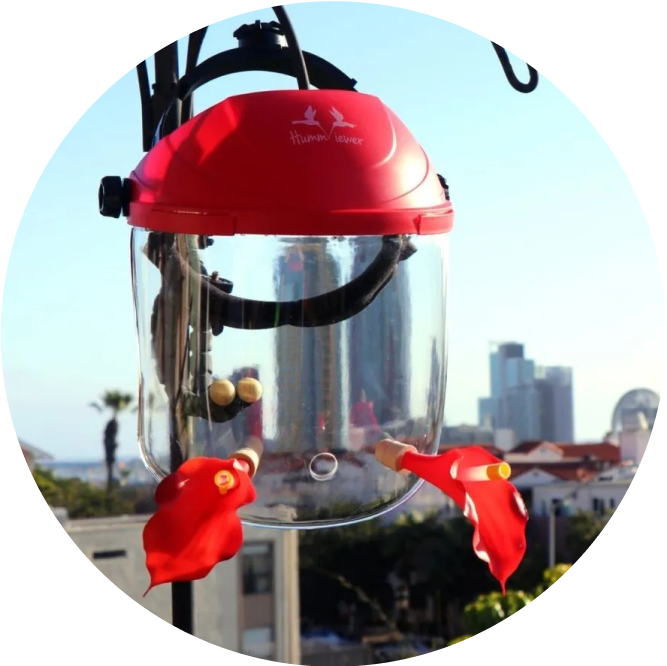 Hummviewer mask hanging on an apartment balcony as a feeder