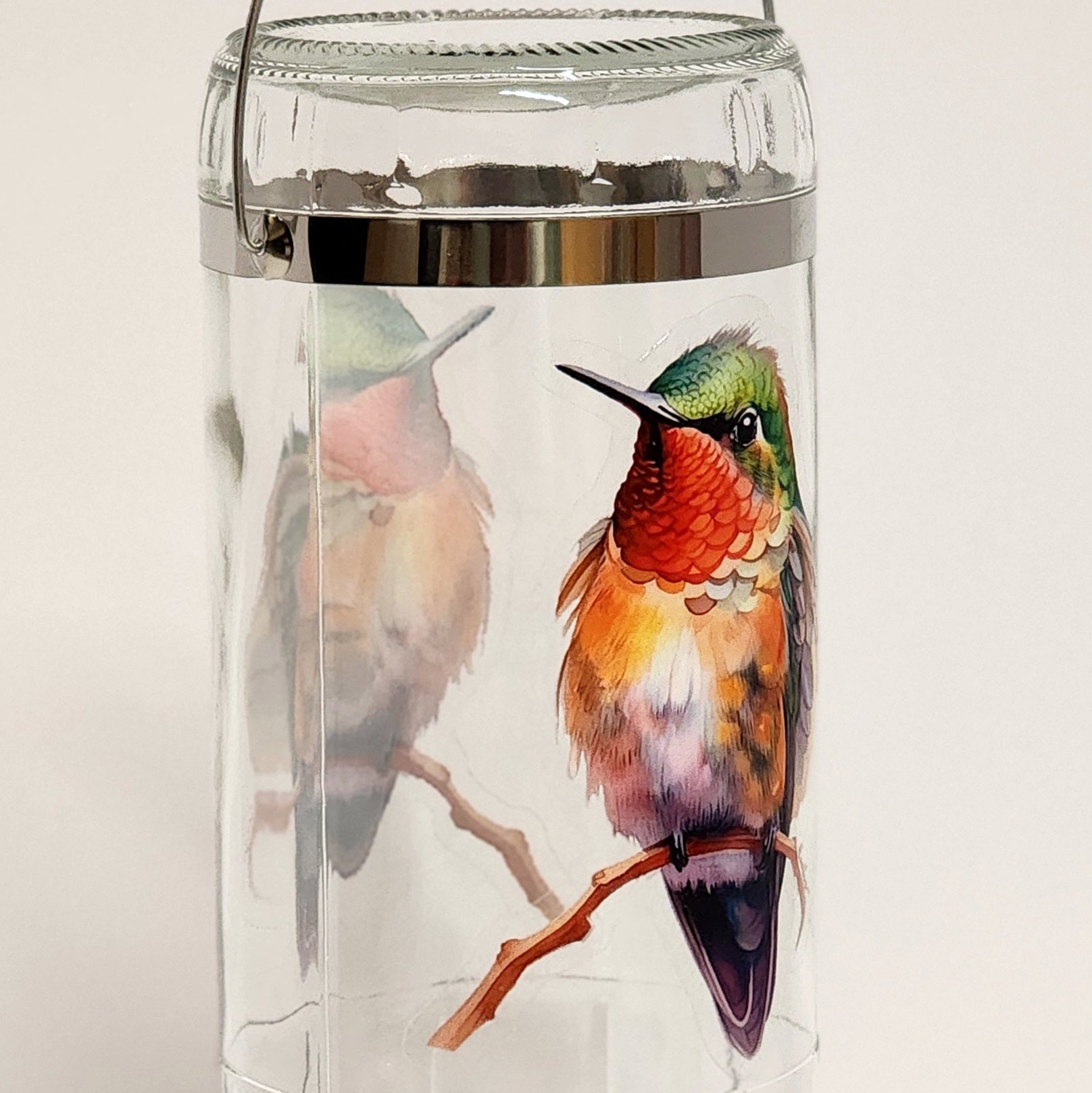 Glass Hummingbird Feeder 32 oz. - HummViewer