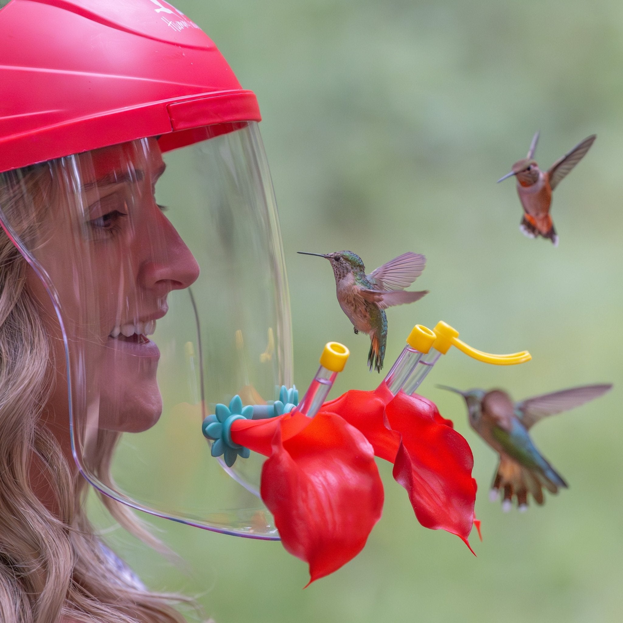 HummViewer Kit - HummViewer