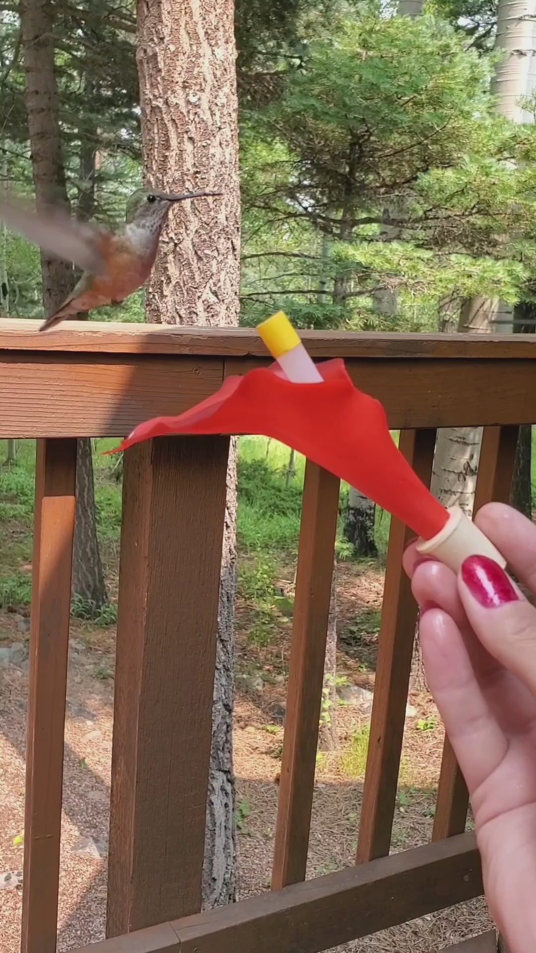 Nectar Bloom with hummingbirds feeding from a woman's hand. 