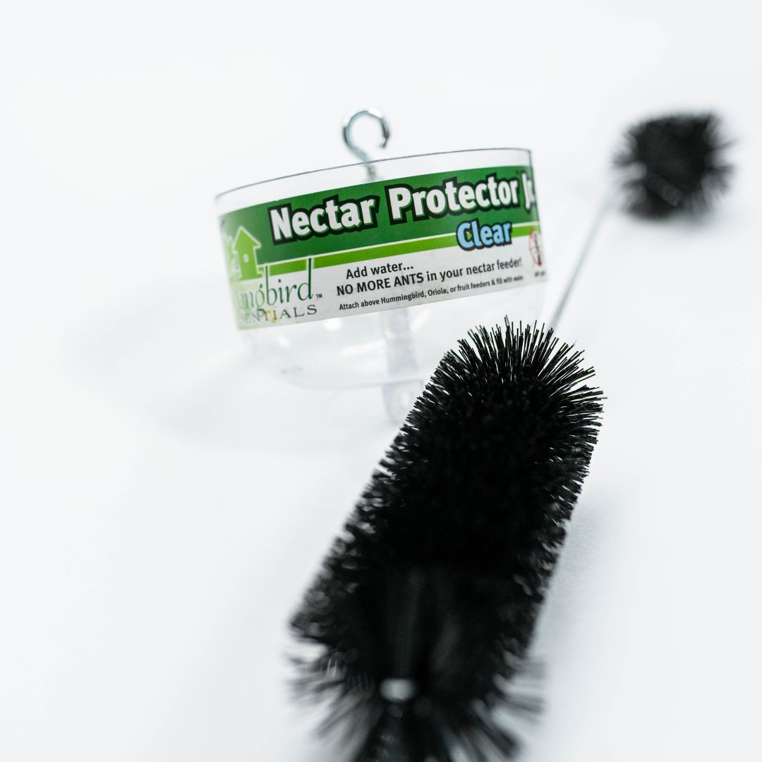 Glass Hummingbird Feeder Kit - HummViewer