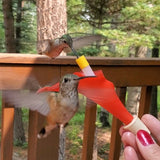 Hand Feeding 3 hummingbirds