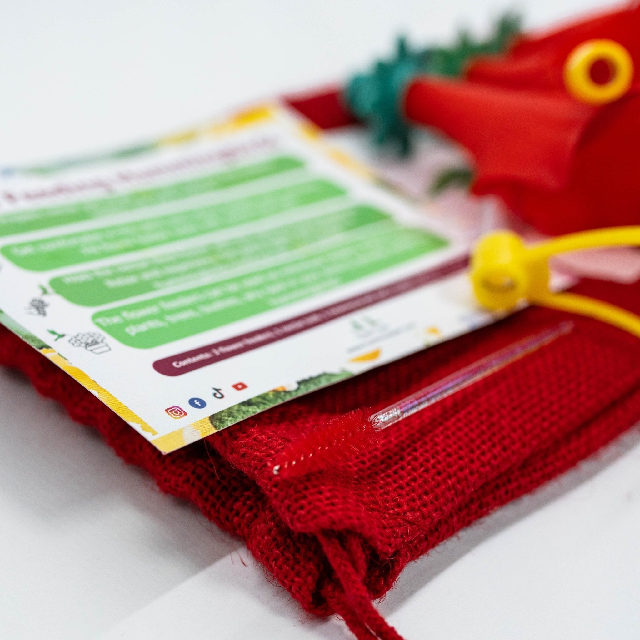 Hand Feeding Kit - HummViewer