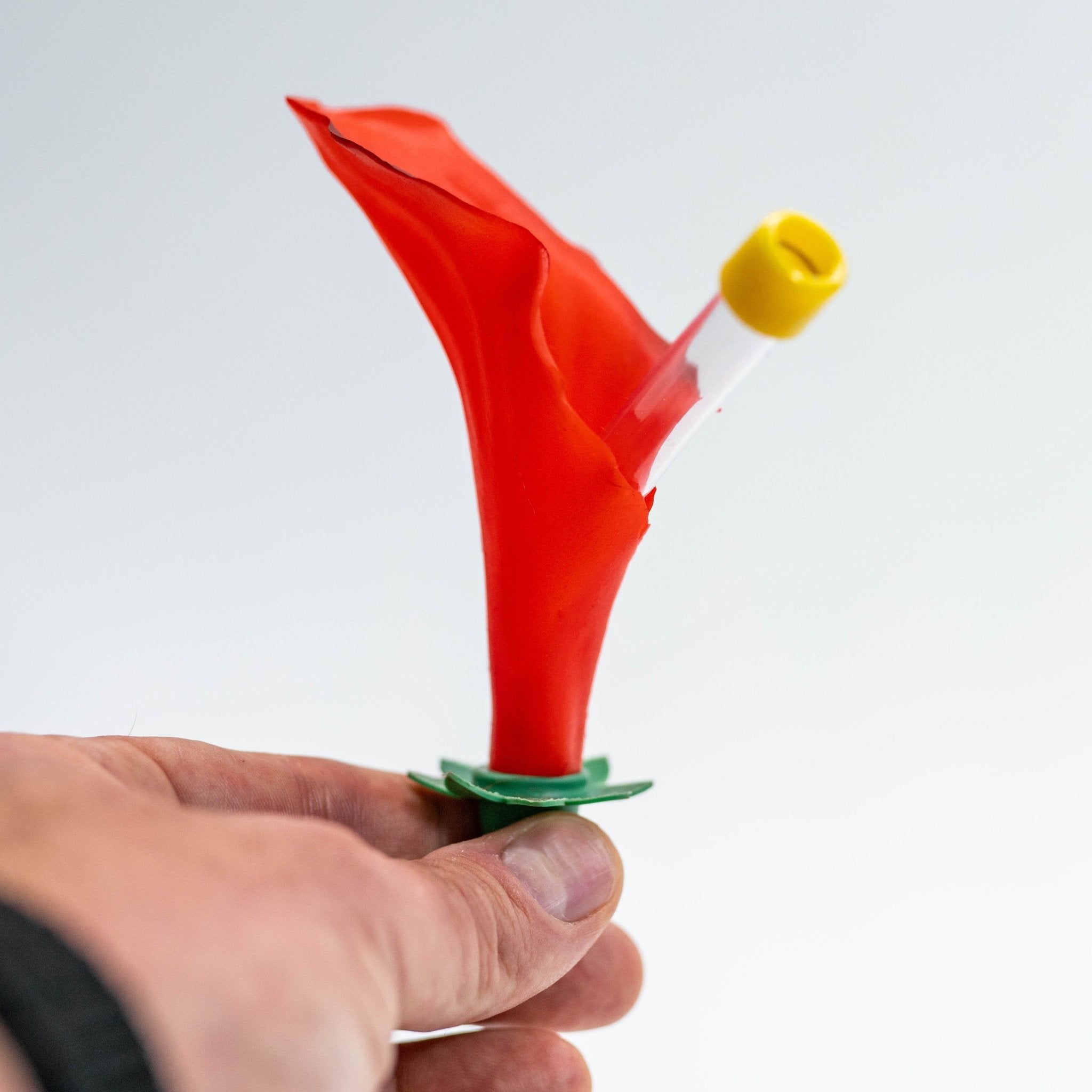 Hand Feeding Kit - HummViewer